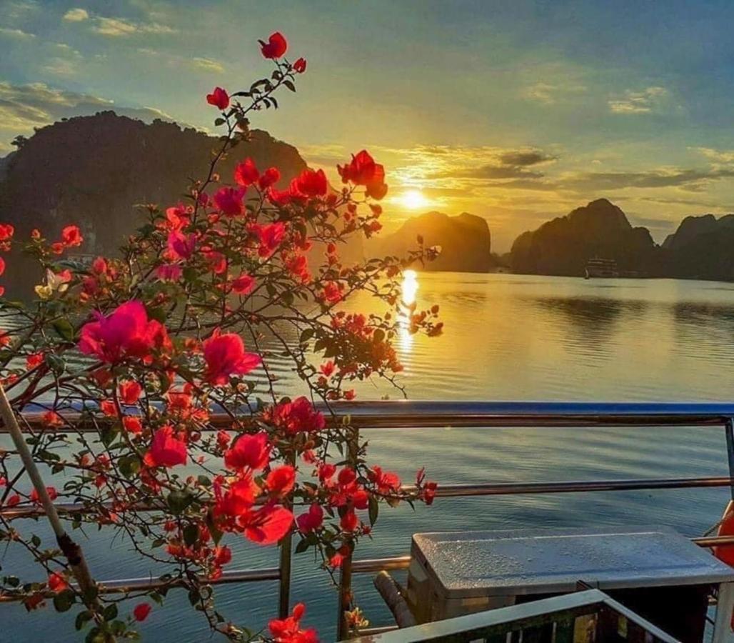 Nhat Anh Hotel Cat Ba Dong Khe Sau Bagian luar foto